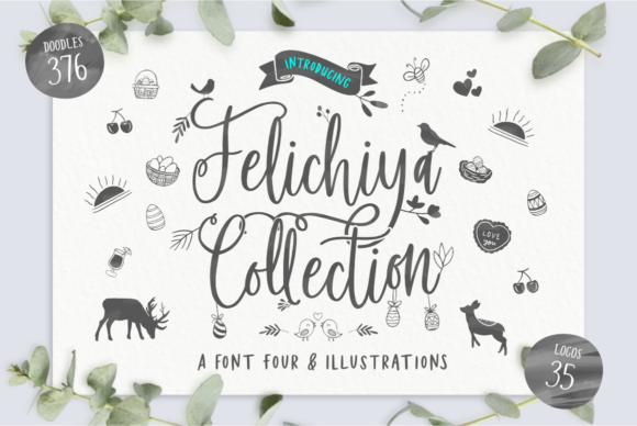 Felichiya Collection: A Versatile Typeface for Web Design